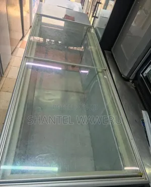 Chiller ya Kuonyesha Biashara / Deep Freezer - 800L