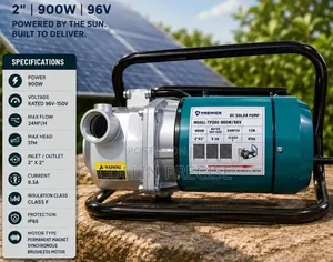 Premier 900W DC Solar Surface Pump