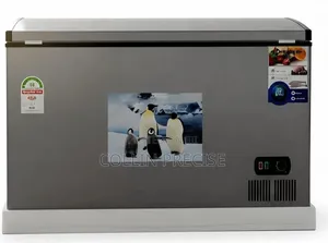 Premier 300L Chest Freezer - Mpya Kabisa