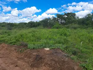 50×100 Plots for Sale in Matuu