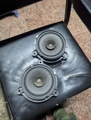 Speaker za Mlango za Nissan (Zilizotumika, Kutoka Japan)