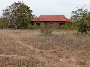 50x100 Plot for Sale - Mukusu, Masinga