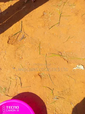 Kitui Simisi Farmland - 120 & 100 Acres for Sale