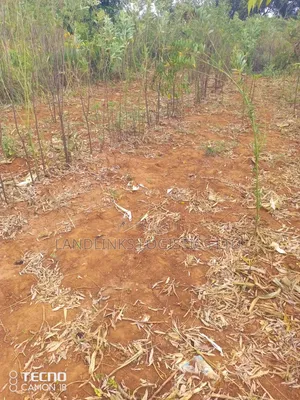 Mutumo Kitui 30 Acres Farmland