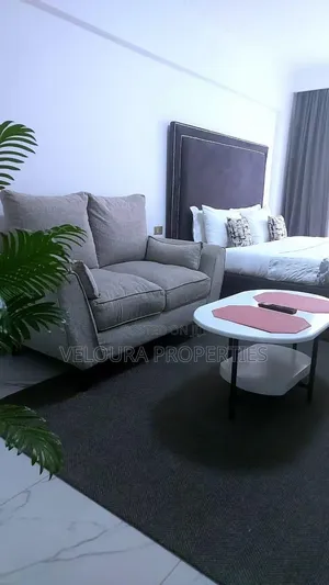 Furnished 1-Bedroom Bedsitter in Kilimani, State House Area