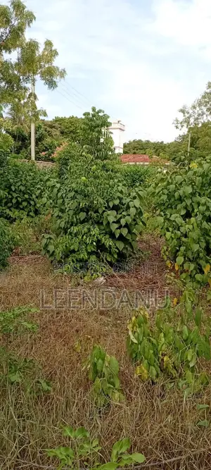 1/2 Eka ya Ardhi ya Makazi kwa Uuzaji Diani