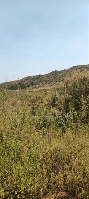 Kikuyu Kamangu Nachu 100x100 Prime Residential Plot