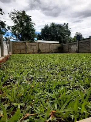 Josphat's Landscaping & Gardening Services