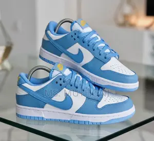 Nike Dunk Low Coast Blue