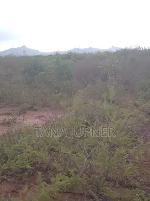 1/8 Acre Plots for Sale in Mavoloni