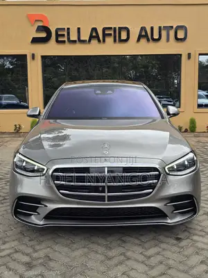 Mercedes-Benz S-Class S 500 (W222) 2020 Kahawia