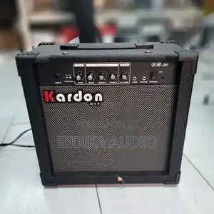 Kardon DB30 Mini Guitar Combo Amplifier