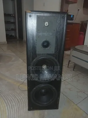 Audiomax SPK10D43LBL9 Woofer ya Bass