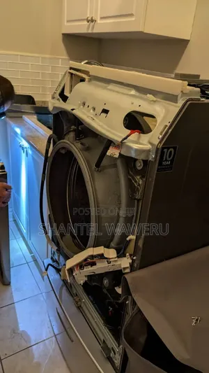 LG ThinQ Washing Machine Repair Service