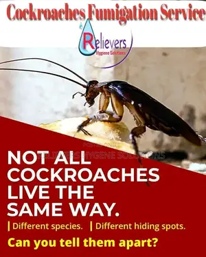 Cockroach Spraying Services by Relievers Hygiene Solutions