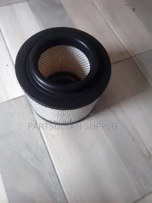 Toyota Air Filter (17801-0c010)