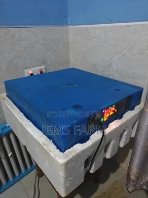 Used Fully Automatic 64 Egg Incubator