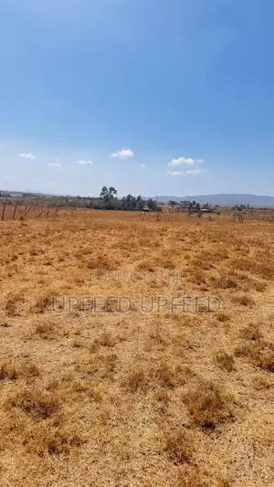 Kiwanja cha 50x100 Kinauzwa Joska, Ndovoini - Hati Tayari
