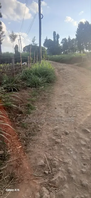 Kamburu 1/4 Eka Plot ya Makazi karibu na Mjini Githunguri