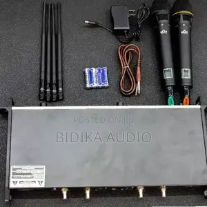 Mfumo wa Kipaza Sauti Kisicho na Waya cha EVP EWG4-2 Professional