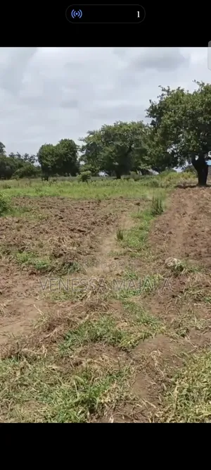 2 Acres Mixed-Use Land for Sale in Ramisi