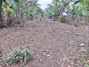 Eneo la 1/4 Acre kwa Uuzaji Kathirune, Meru