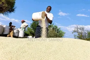 Mahindi Nyeupe - 900kg