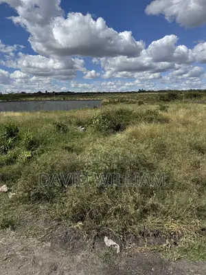 3 Prime Plots for Sale in Kinanie (50x100 each)