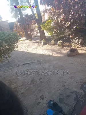 Bungalow ya Vyumba 4 Iliyo na Samani Kamulu, Mavoko Inauzwa