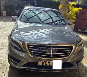 Mercedes-Benz S-Class S 350 CDI BlueEFFICIENCY (W221) 2013 Grey