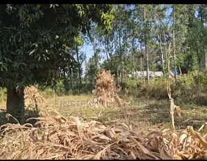 Hekta 0.07 za Ardhi Zinauzwa Migori, Karibu na Chuo cha Kababu