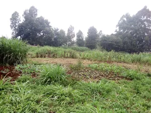 Eneo la Eka Moja Linauzwa Karibu na Shule ya Msingi Muna, Limuru