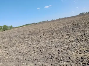 20 Acres Farmland for Lease in Kisaju