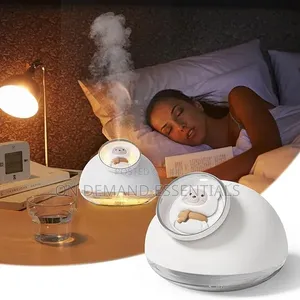 H2O Teddy Bear Humidifier 160ml