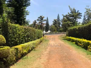 Kibirigwi Kiangwaci Plot 40x120 Mita 50 kutoka Barabara Kuu