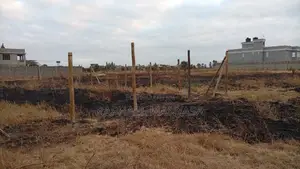 50x100 Plot for Sale in Kamulu