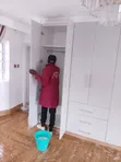 Erin Cleaning Services - Huduma za Kusafisha - 2