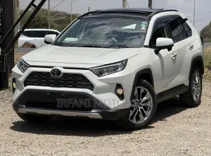 Toyota RAV4 Limited AWD 2019 Nyeupe