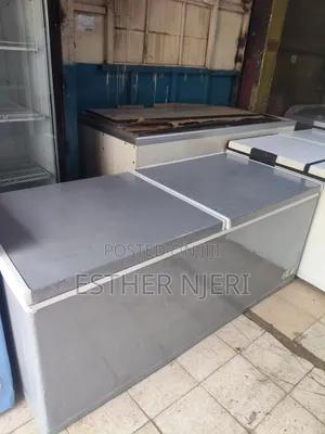 Ramtons Gray Deep Freezer 700L - I tumika