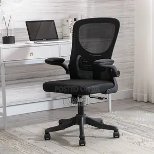 Kiti cha Ofisi chenye Ergonomic na Msaada wa Mgongo unaoweza Kurekebishwa