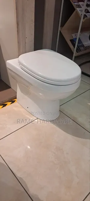 Floor Standing Back to Wall Toilet Seat