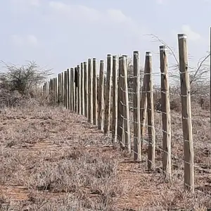 Ardhi ya Kuuzwa Chuna Phase 4 Athi River - 50x100 Ft