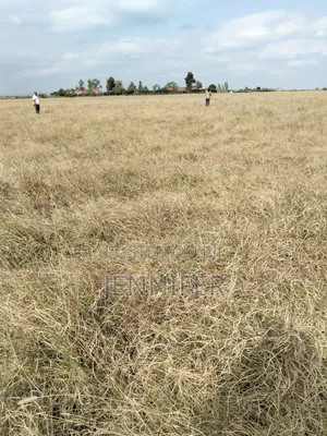 Kitengela 1/8 Acre Plot - Ready Title