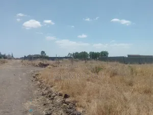 Vipande vya Ardhi vya Bei Nafuu Vinauzwa Katani