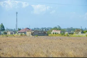 Vipande vya Ardhi Nafuu Vinauzwa Muthwani