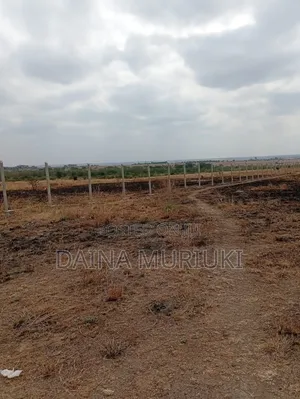 Kiwanja cha Bei Nafuu cha 50x100 kwa Ajili ya Kuuzwa Juja