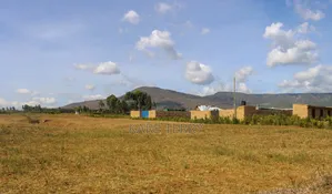 Kitalu cha Bei Nafuu cha Matumizi Mchanganyiko kwa Uuzaji Mai Mahiu