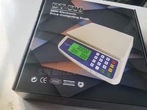 DT-580 Mini Electronic Price-Computing Scale