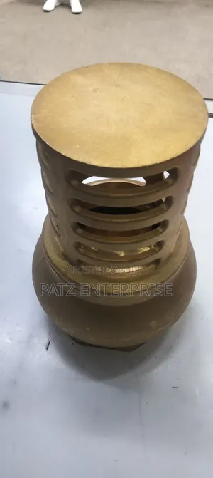 Heavy-Duty Brass Foot Valve 1"