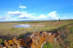 1/8 Acre Residential Plot in Tuala